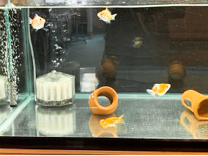 清掃部紹介画像